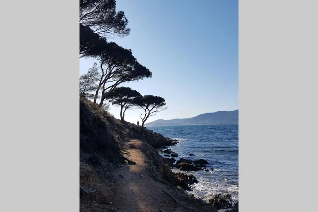 Appartement Deux Pieces , Climatise, Terrase, Cavalaire 0*, キャバレール・シュル・メール